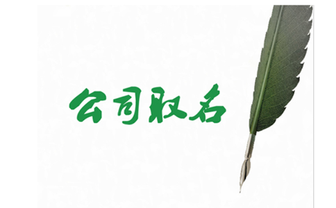 河南掌上登記名稱登記上傳資料哪里必須填嗎？