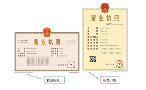 營業(yè)執(zhí)照副本編號怎么查詢？（最新詳細介紹）