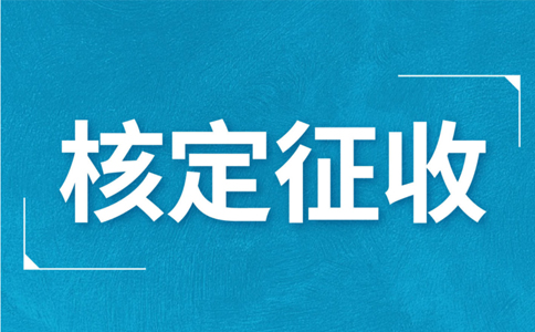 江西大額個(gè)體戶核定征收標(biāo)準(zhǔn)，2024年最新政策